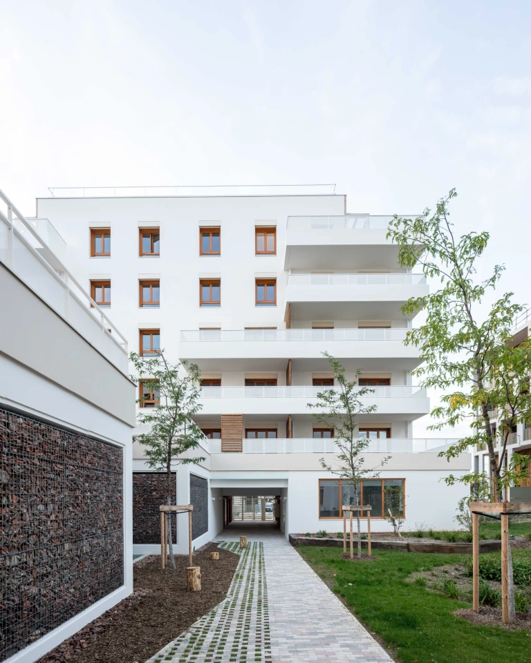 2025-09-20-le-solanum-lyon-304-panorama-bd